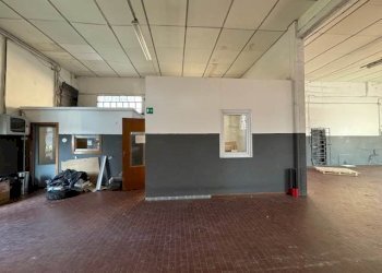 Capannone Vignola - foto 6