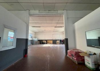 Capannone Vignola - foto 8