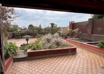 Attic Modena - photo 4