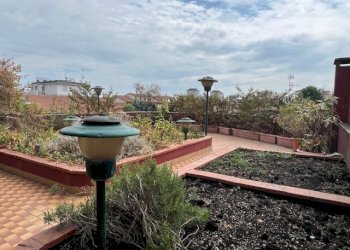 Attic Modena - photo 6