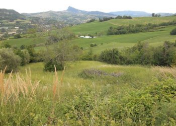 Terreno edificabile Poggio Torriana - foto 1