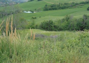 Terreno edificabile Poggio Torriana - foto 3