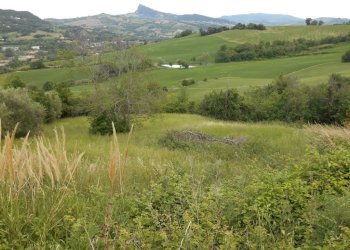 Terreno edificabile Poggio Torriana - foto 4