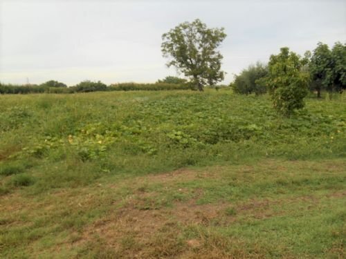 Terreno agricolo Santarcangelo di Romagna - foto 2