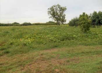Terreno agricolo Santarcangelo di Romagna - foto 2