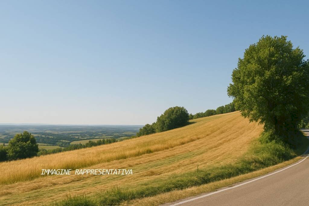 Terreno - Terreno agricolo via Selvafosca, Verucchio - foto 1