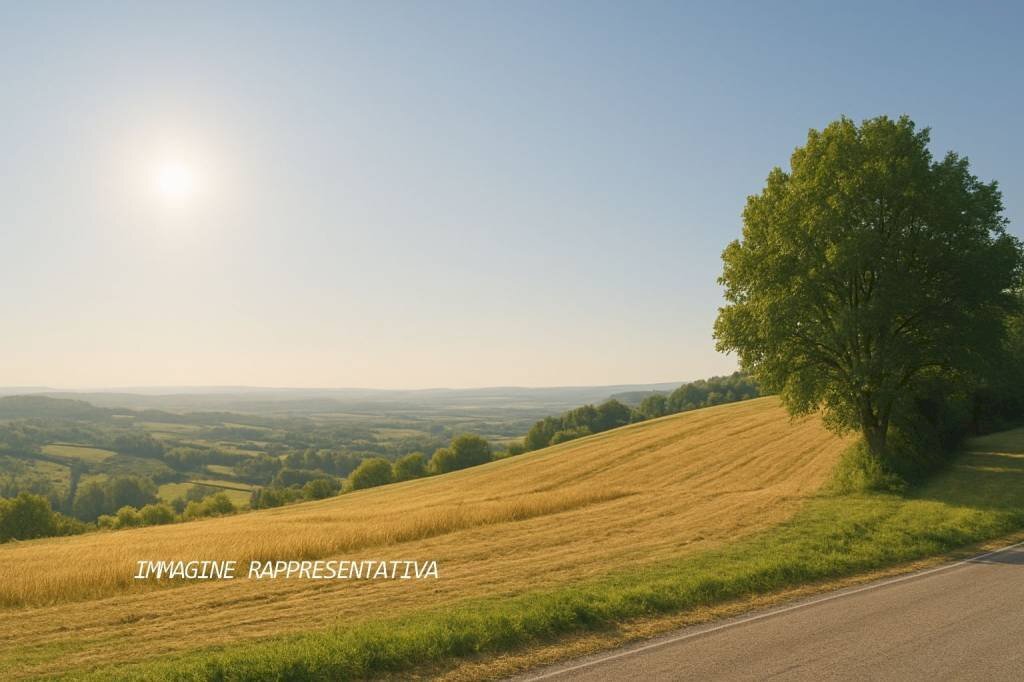 Terreno - Terreno agricolo via Selvafosca, Verucchio - foto 2