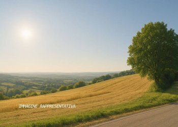 Terreno - Terreno agricolo via Selvafosca, Verucchio - foto 2