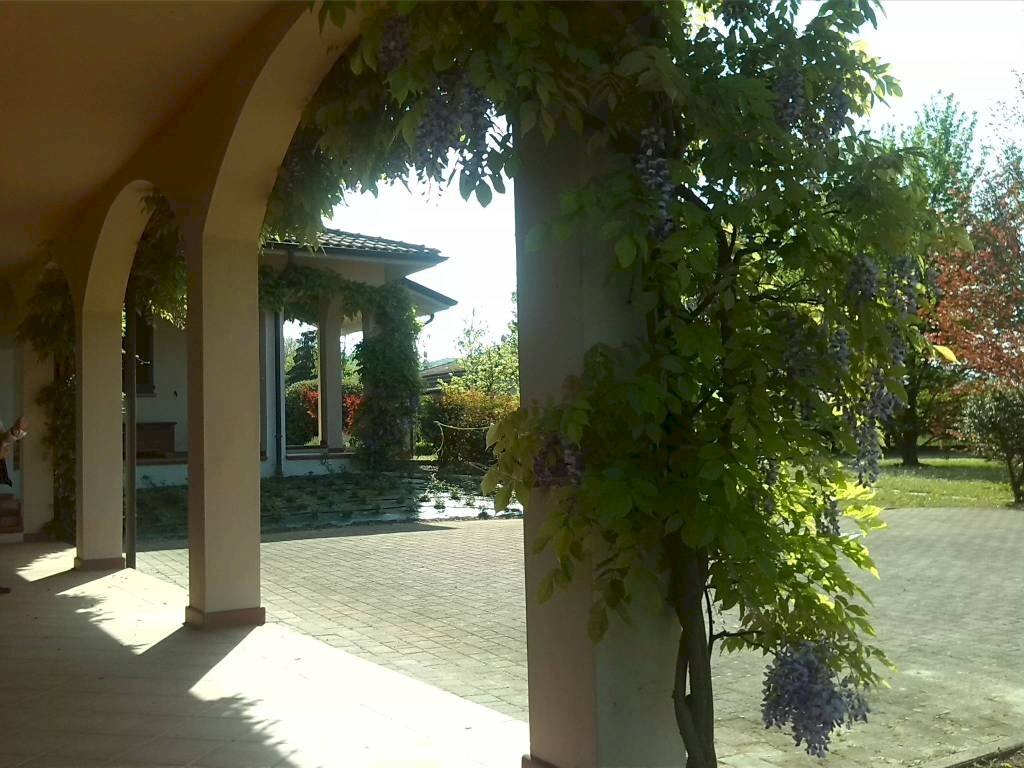 Giardino - Shop viale Torino, Alba - photo 1
