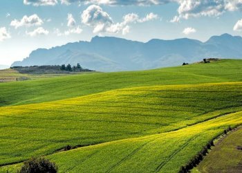 Terreno - Terreno edificabile via Senatore Ezio Vanoni, 40, Castione Andevenno - foto 1