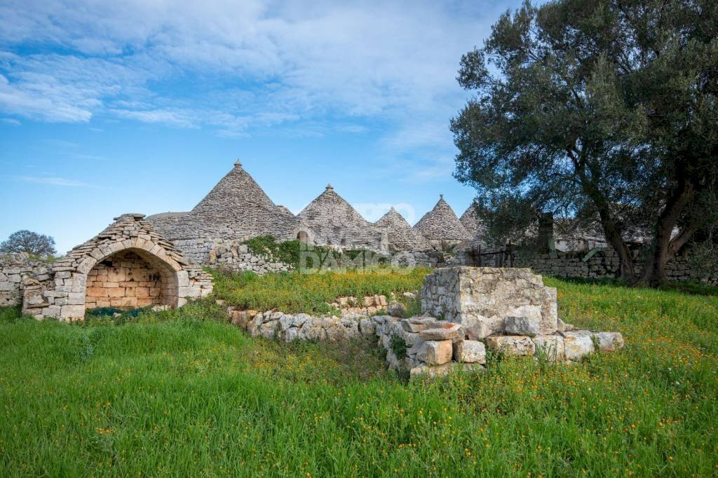 Terreno - Rustico contrada Fantese, Ostuni - foto 3