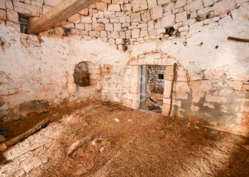 Cantina - Rustico contrada Fantese, Ostuni - foto 8