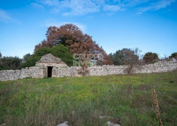 Terreno - Rustico contrada Fantese, Ostuni - foto 16