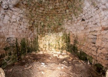 Terreno - Rustico contrada Fantese, Ostuni - foto 17