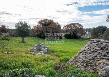 Terreno - Rustico contrada Fantese, Ostuni - foto 18