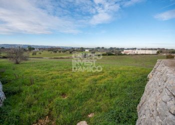 Terreno - Rustico contrada Fantese, Ostuni - foto 19