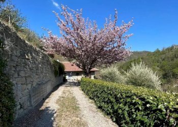 Casale Cortemilia - foto 4