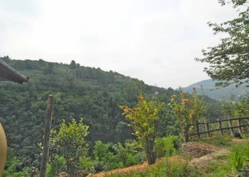 Casale Cortemilia - foto 6