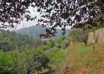 Casale Cortemilia - foto 14