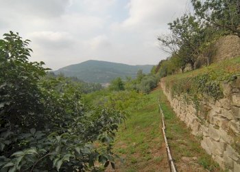 Casale Cortemilia - foto 17