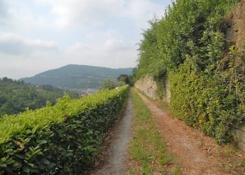 Casale Cortemilia - foto 21