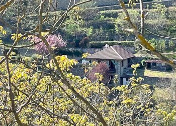 Casale Cortemilia - foto 26