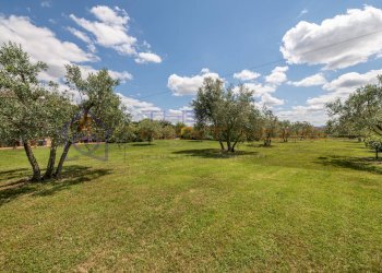 Foto 32 - Rustic via di lappeggi, Bagno a Ripoli - photo 32