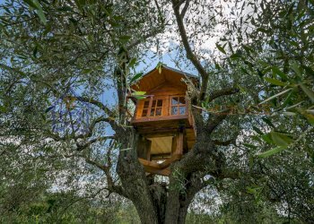 Foto 34 - Rustic via di lappeggi, Bagno a Ripoli - photo 34