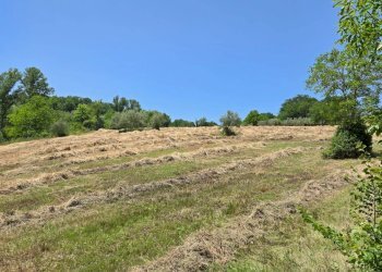 Foto 7 - Terreno agricolo località Candriano, Paternopoli - foto 7