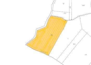 Foto 11 - Terreno agricolo località Candriano, Paternopoli - foto 11