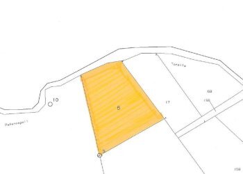 Foto 12 - Terreno agricolo località Candriano, Paternopoli - foto 12