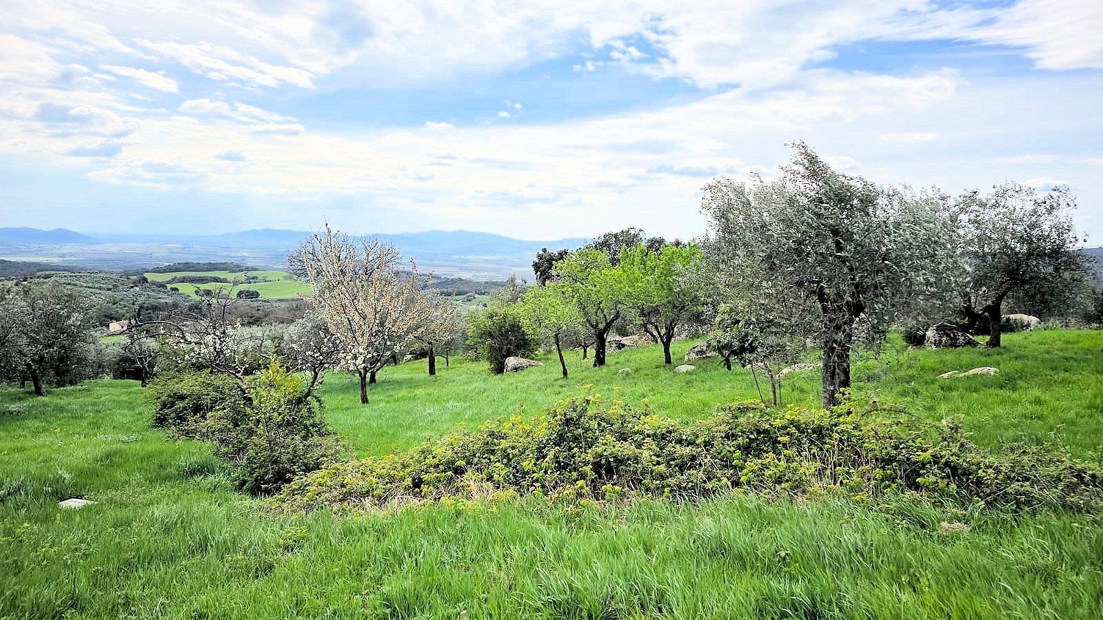 Foto 3 - Rustico Via Nazionale, Roccastrada - foto 3