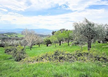 Foto 3 - Rustico Via Nazionale, Roccastrada - foto 3