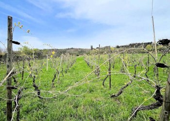 Foto 7 - Rustico Via Nazionale, Roccastrada - foto 7