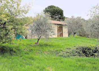 Foto 12 - Rustico Via Nazionale, Roccastrada - foto 12