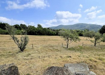 Foto 17 - Rustico Roccastrada - foto 17