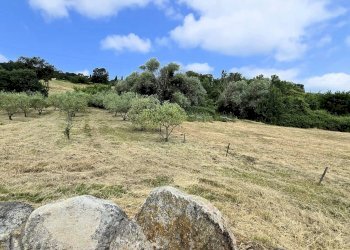 Foto 19 - Rustico Roccastrada - foto 19