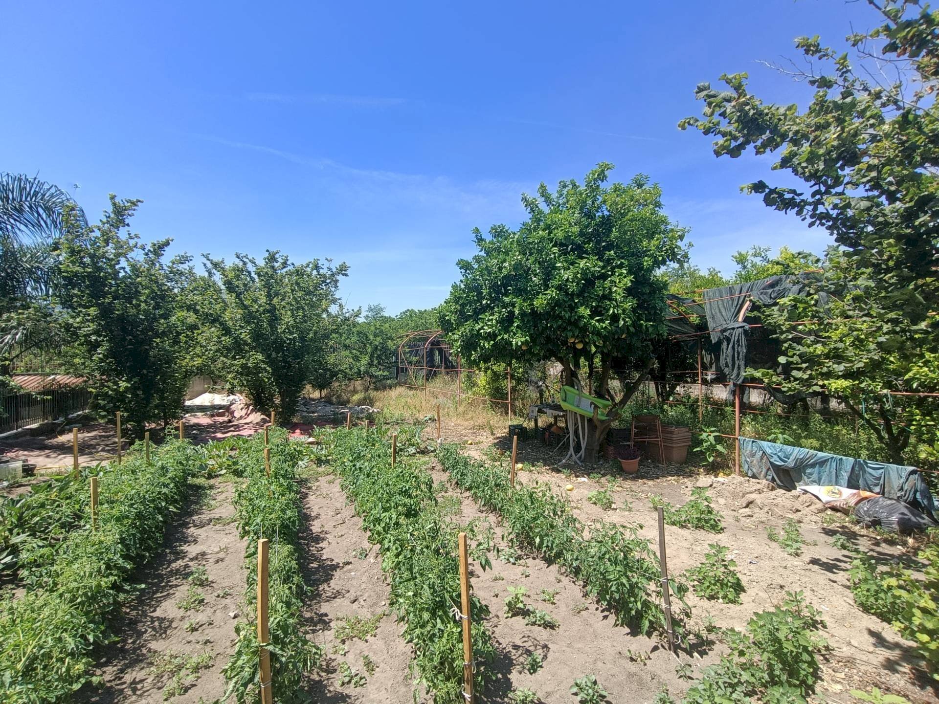 Foto 2 - Agricultural land Scisciano - photo 2