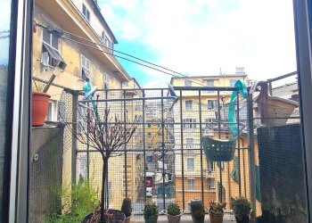 Foto 13 - Appartamento Via Carlo Rolando, Genova - foto 13