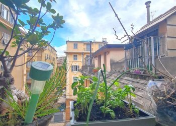 Foto 14 - Appartamento Via Carlo Rolando, Genova - foto 14