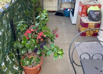 Foto 14 - Trilocale Via della Resistenza, Ventimiglia - foto 14