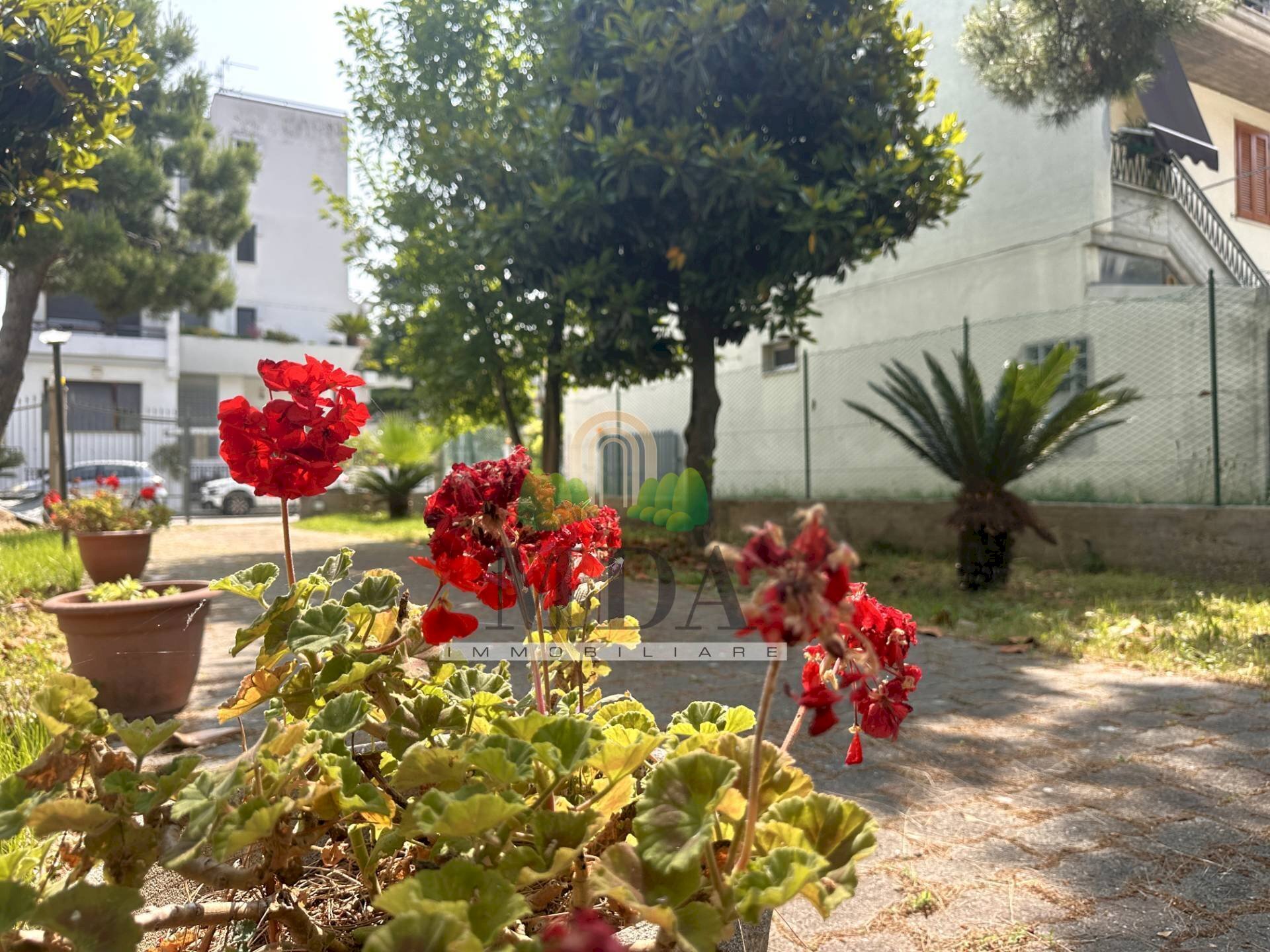 Foto 2 - Independent house via Nazario Sauro, San Benedetto del Tronto - photo 2