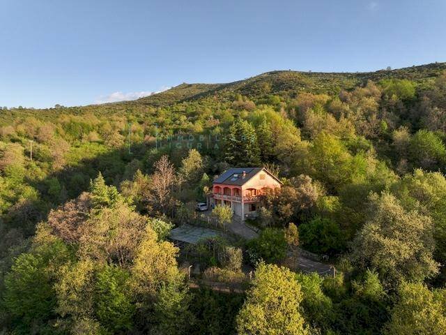 Foto 2 - Casa indipendente Strada provinciale 21, Aurigo - foto 2