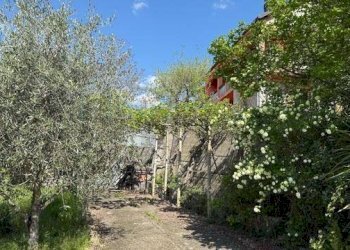 Foto 26 - Independent house Strada provinciale 21, Aurigo - photo 26