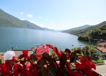 Foto 21 - Trilocale Via Nazionale
 
49, Cannobio - foto 21