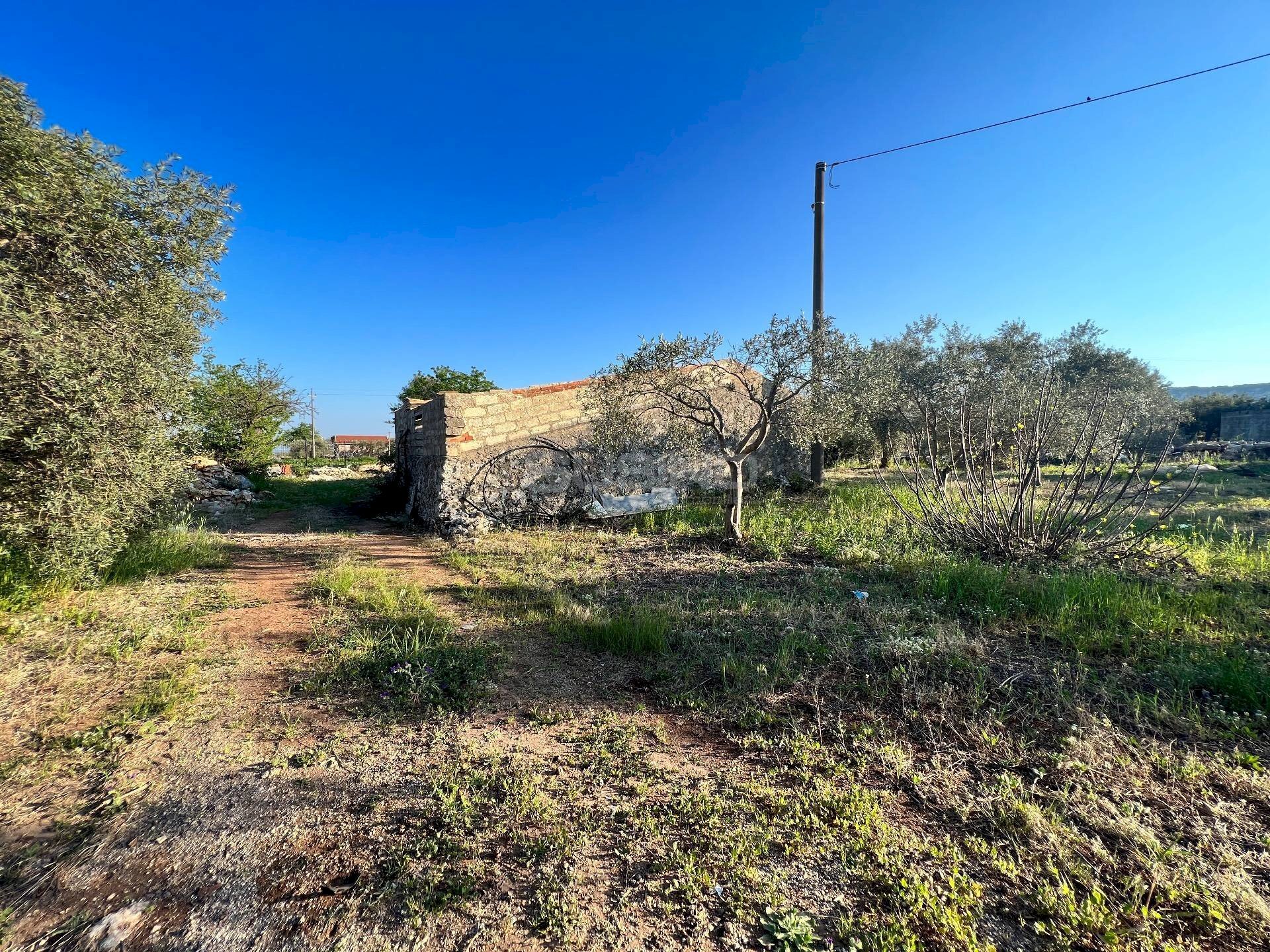 Foto 3 - Villa IPPODROMO/SPINAGALLO, Siracusa - foto 3