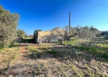 Foto 3 - Villa IPPODROMO/SPINAGALLO, Siracusa - foto 3