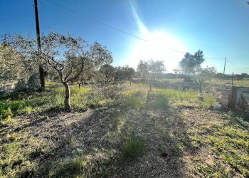 Foto 4 - Villa IPPODROMO/SPINAGALLO, Siracusa - foto 4