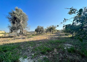 Foto 10 - Villa IPPODROMO/SPINAGALLO, Siracusa - foto 10