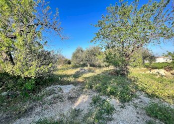 Foto 11 - Villa IPPODROMO/SPINAGALLO, Siracusa - foto 11